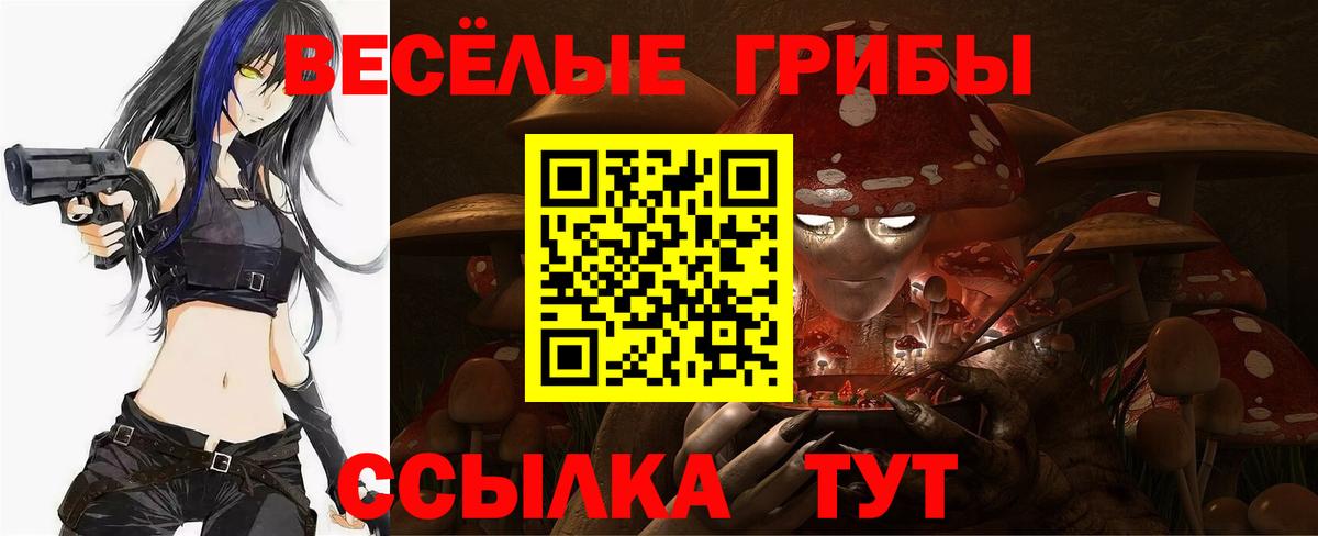 Йошкар-Ола  МАРИХУАНА  Гашиш  Мефедрон кристаллы  Вход с VPN  Alpha PVP СК   Меф  Кокаин 
